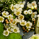 Premium Bouquet Frühlingsfrische with premium vase & 2 Ferrero Rocher