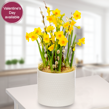 Flower Arrangement Daffodil Dream Flower Arrangement Daffodil Dream