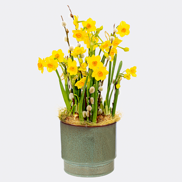 Flower Arrangement Daffodil Dream