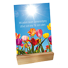 Wooden stand for postcards - incl. Four Seasons postcards