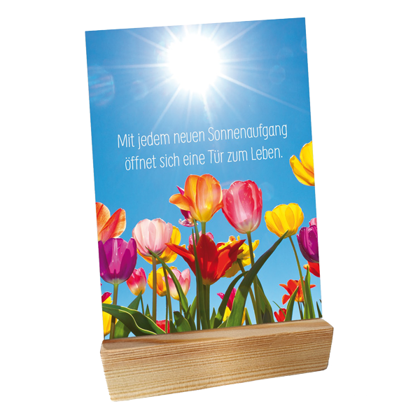 Holzständer für Postkarten - inkl. Vier Jahreszeiten Postkarten