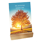 Wooden stand for postcards - incl. Four Seasons postcards