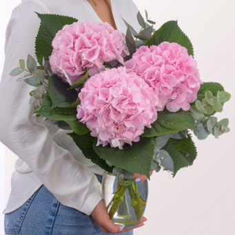 Rosa Hortensien mit Eukalyptus mit SunLolly Himbeere & Vase
