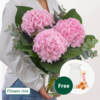 Light Pink Hydrangea with Eucalyptus with vase & 3 Ferrero Giotto