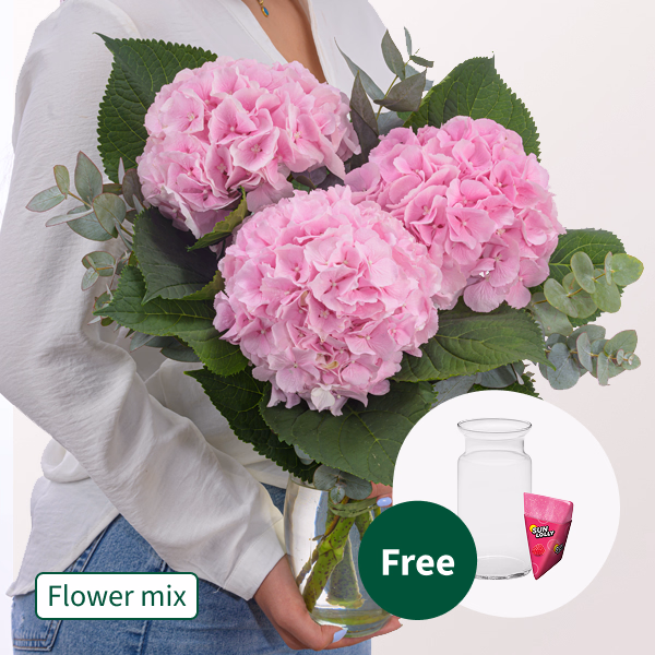 Light Pink Hydrangea with Eucalyptus with SunLolly Raspberry & vase