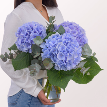 Blaue Hortensien mit Eukalyptus mit Halloren Kugeln & Vase