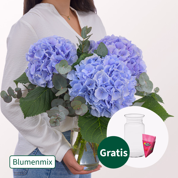 Blaue Hortensien mit Eukalyptus mit SunLolly Himbeere & Vase