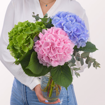 Traumhafte Hortensien mit Eukalyptus mit Vase & Ferrero Giotto