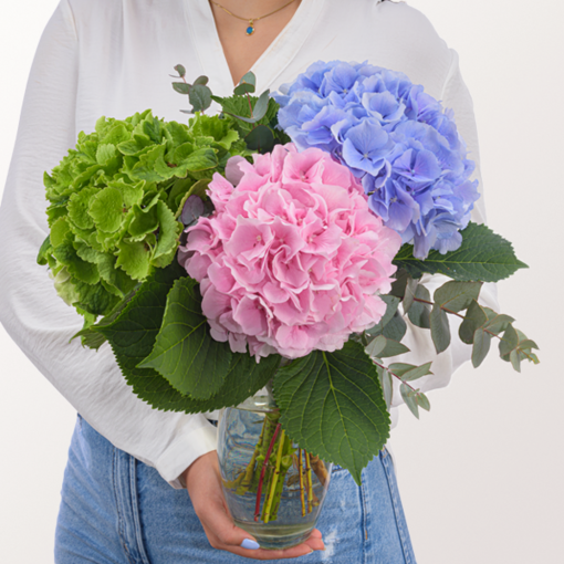 Traumhafte Hortensien mit Eukalyptus mit Vase & Ferrero Giotto 3er