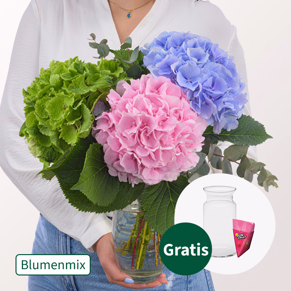 Traumhafte Hortensien mit Eukalyptus mit SunLolly Himbeere & Vase