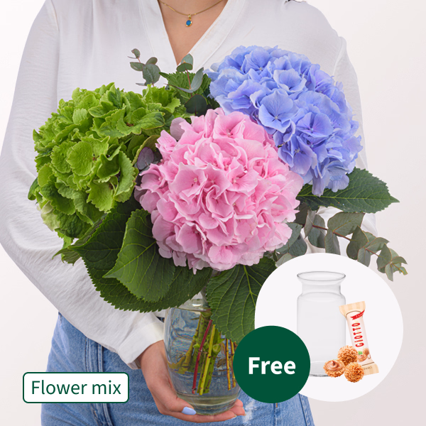 Dreamlike Hydrangea with Eucalyptus