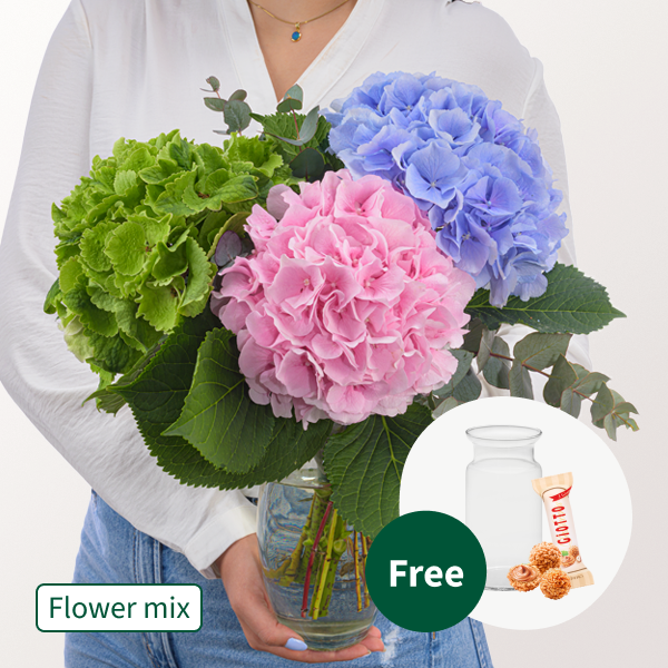 Dreamlike Hydrangea with Eucalyptus with vase & 3 Ferrero Giotto
