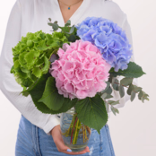 Dreamlike Hydrangea with Eucalyptus