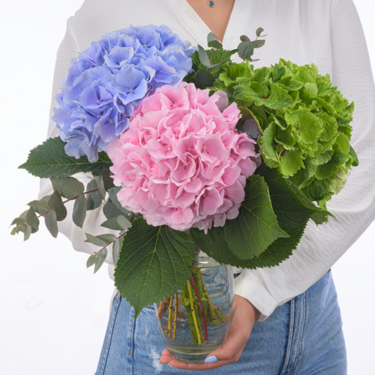 Dreamlike Hydrangea with eucalyptus Dreamlike Hydrangea with eucalyptus