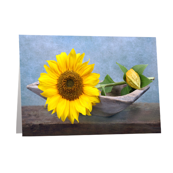 Motivkarte Herbstfarben Sonnenblume