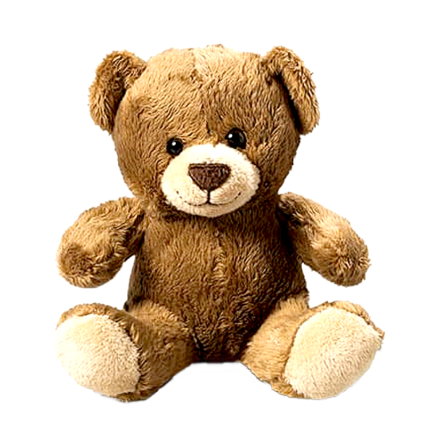 a cuddly dark teddy bear