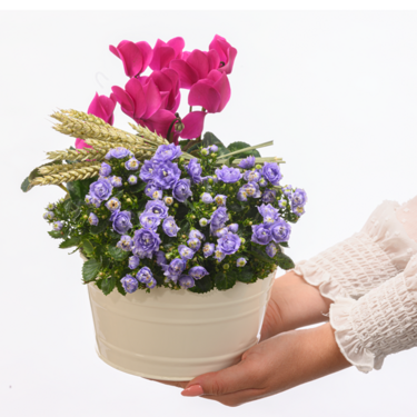 Arrangement Gartenglück