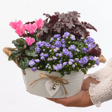 Arrangement Gartenzauber