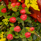 Blumenstrauß Lebenslust mit Vase