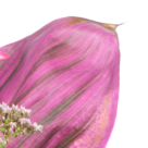 Blumenstrauß Herbstbrise mit Vase