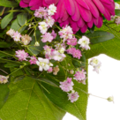 Blumenstrauß Blütenkuss mit Vase
