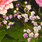 Blumenstrauß Herbstglück mit Vase