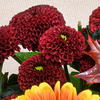 Blumenstrauß Herbstfest mit Vase & Teaballs & Ferrero Giotto 3er