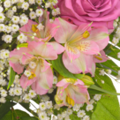 Blumenstrauß Herbstbote mit Vase & Ferrero Raffaello