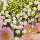 Blumenstrauß Herbstbote mit Vase & Ferrero Raffaello