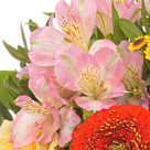 Blumenstrauß Herbststrahlen mit Vase & Ferrero Raffaello