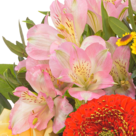 Blumenstrauß Herbststrahlen mit Vase & Ferrero Raffaello