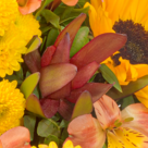 Blumenstrauß Sonnenbad mit Vase & Ferrero Raffaello