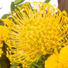 Blumenstrauß Sonnenbad mit Vase & Ferrero Raffaello