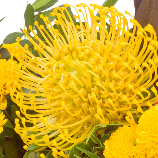 Flower Bouquet Sonnenbad with vase & 3 Ferrero Giotto