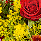 Blumenstrauß Meisterwerk mit Vase & Ferrero Raffaello