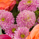 Premiumstrauß Herbstduft mit Premiumvase & Ferrero Raffaello