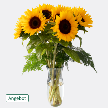 7 Sonnenblumen im Bund 7 Sonnenblumen im Bund