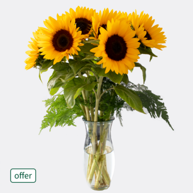 Bunch of 7 sunflowers Bunch of 7 sunflowers