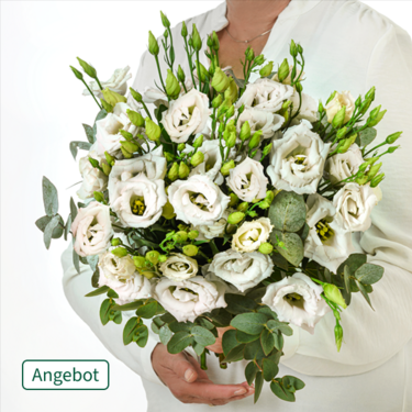frisch gebunden 10 weiße Lisianthus im Bund