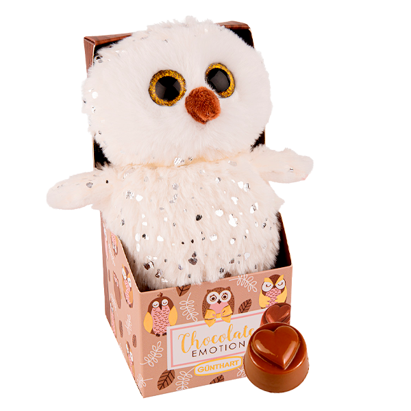 Plüsch Eule (18 cm) mit Pralinen-Box