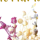 Motivkarte mit Trockenblumen "Beste Mama"
