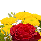 Blumenstrauß Kleine Freude mit Vase