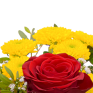 Blumenstrauß Kleine Freude mit Vase