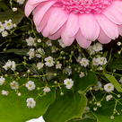 Blumenstrauß Kleine Freude mit Vase