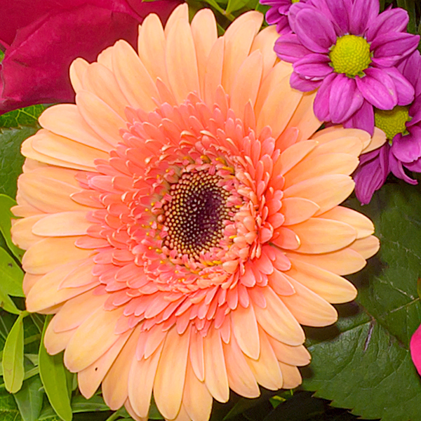 Blumenstrauß Sommerliebe mit Vase & Ferrero Giotto
