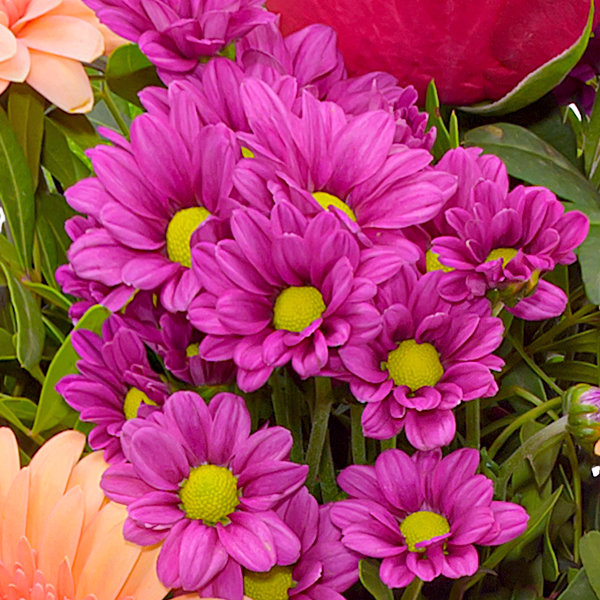 Blumenstrauß Sommerliebe mit Vase & Ferrero Giotto