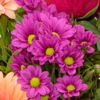 Blumenstrauß Sommerliebe mit Vase & Ferrero Giotto 3er