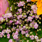 Blumenstrauß Freude mit Vase & Ferrero Raffaello