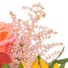 Blumenstrauß Sonnengrüße mit Vase & Ferrero Raffaello