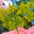 Blumenstrauß Blütenmelodie mit Vase & Ferrero Raffaello